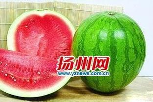 红黑吃瓜爆料,揭秘娱乐圈幕后风云